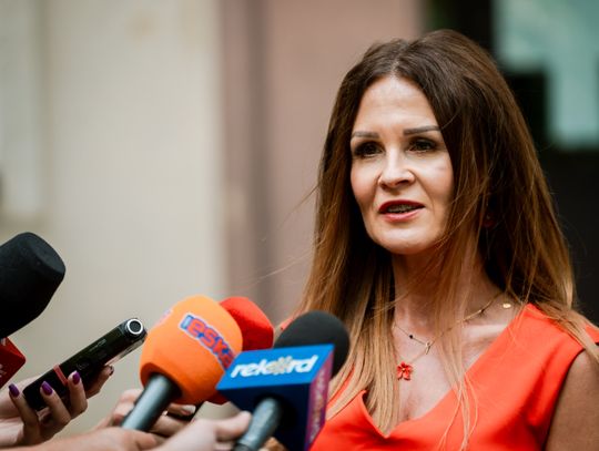 Termomodernizacja szkół - konferencja (zdjęcia)