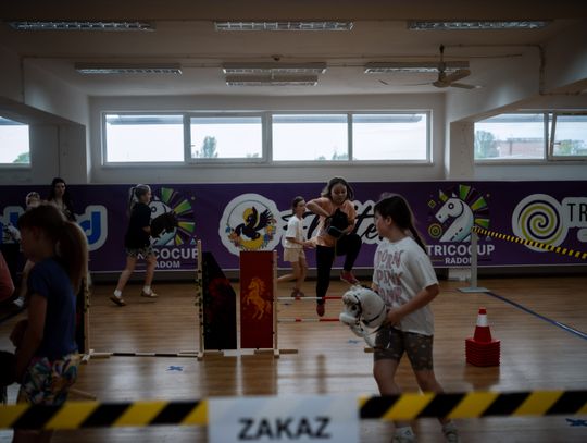 TricoCup Zawody Hobby Horse (zdjęcia)