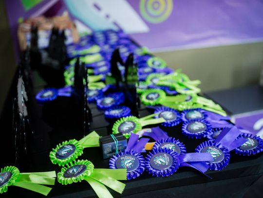 TricoCup Zawody Hobby Horse (zdjęcia)