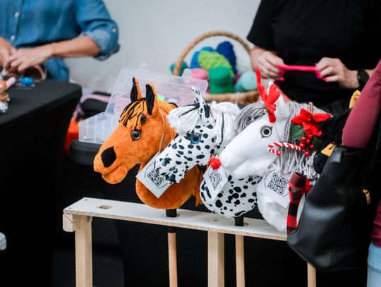 TricoCup Zawody Hobby Horse (zdjęcia)