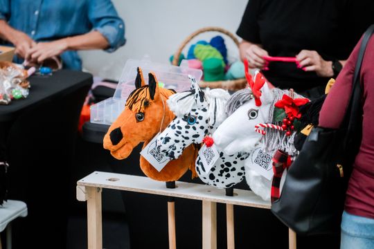 TricoCup Zawody Hobby Horse (zdjęcia)