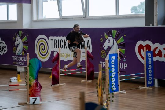 TricoCup Zawody Hobby Horse (zdjęcia)