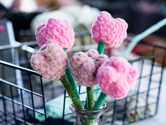 "Dzień dobry na kulturę" - podsumowanie sezonu artystycznego w MOK Amfiteatr (zdjęcia)