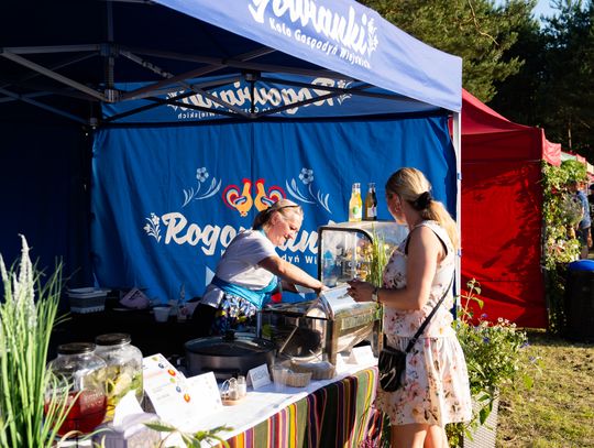 Festiwal Zielone smaki Mazowsza w Mniszku (zdjęcia)