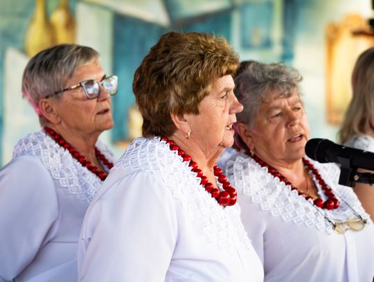 Noc Świętojańska - Sobótka Gminna w Jedlińsku (zdjęcia)