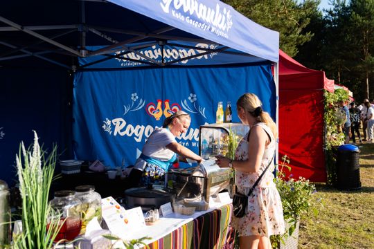 Festiwal Zielone smaki Mazowsza w Mniszku (zdjęcia)
