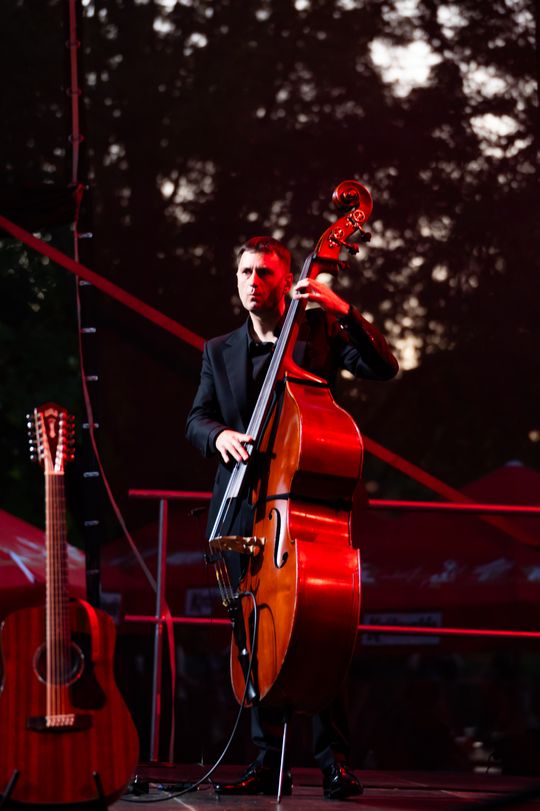 Iłżeckie Dni Kultury - koncert Maleńczuka (zdjęcia)