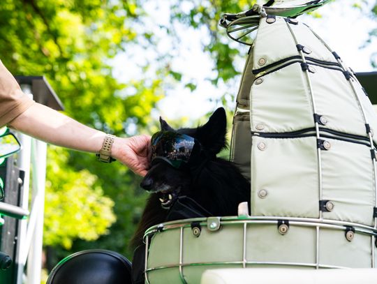 Free(RA)dom Festival - spotkanie z podróżnikiem Jackiem Borowskim  "JACK & DOG" (zdjęcia)