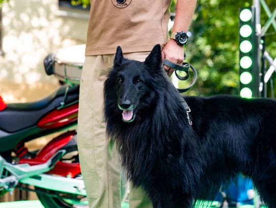Free(RA)dom Festival - spotkanie z podróżnikiem Jackiem Borowskim  "JACK & DOG" (zdjęcia)