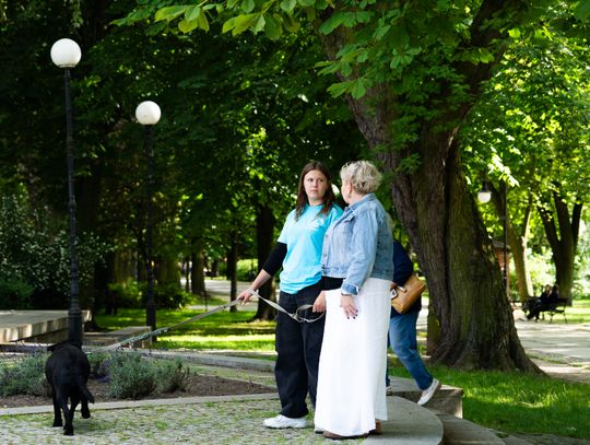 Free(RA)dom Festival - wystawa i aukcja charytatywna na rzecz bezdomnych zwierząt (zdjęcia)