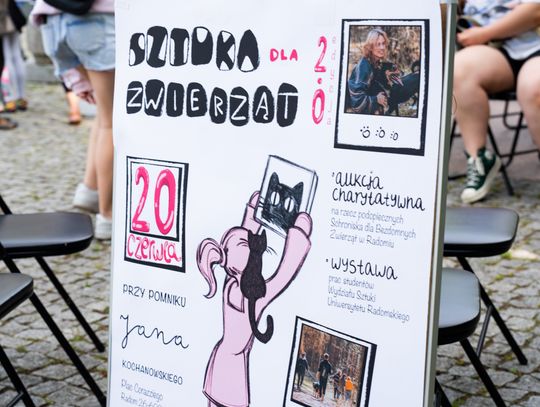 Free(RA)dom Festival - wystawa i aukcja charytatywna na rzecz bezdomnych zwierząt (zdjęcia)