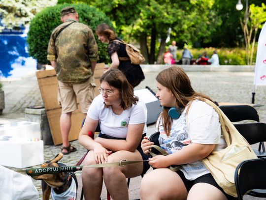 Free(RA)dom Festival - wystawa i aukcja charytatywna na rzecz bezdomnych zwierząt (zdjęcia)