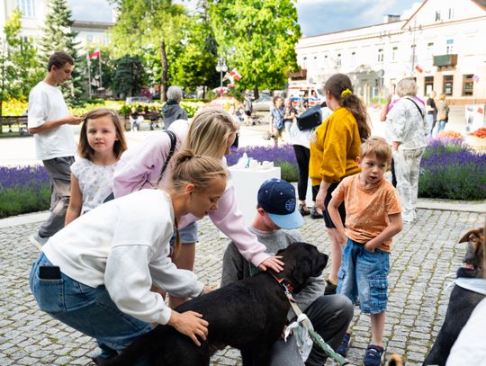 Free(RA)dom Festival - wystawa i aukcja charytatywna na rzecz bezdomnych zwierząt (zdjęcia)