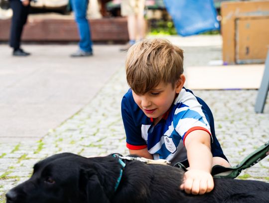 Free(RA)dom Festival - wystawa i aukcja charytatywna na rzecz bezdomnych zwierząt (zdjęcia)