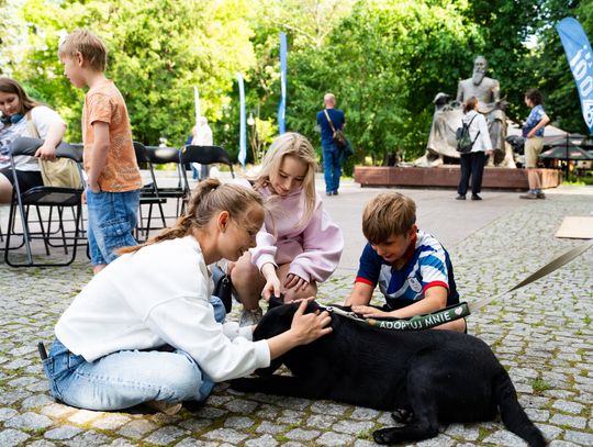 Free(RA)dom Festival - wystawa i aukcja charytatywna na rzecz bezdomnych zwierząt (zdjęcia)