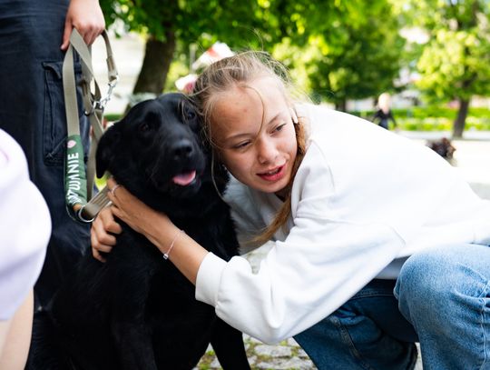 Free(RA)dom Festival - wystawa i aukcja charytatywna na rzecz bezdomnych zwierząt (zdjęcia)