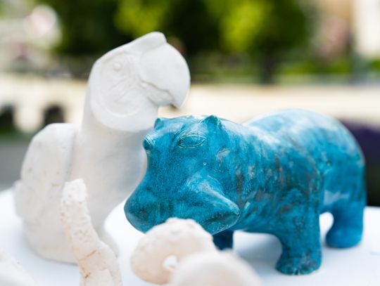 Free(RA)dom Festival - wystawa i aukcja charytatywna na rzecz bezdomnych zwierząt (zdjęcia)