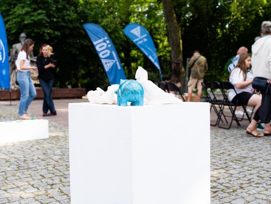 Free(RA)dom Festival - wystawa i aukcja charytatywna na rzecz bezdomnych zwierząt (zdjęcia)