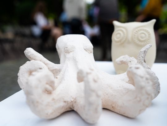 Free(RA)dom Festival - wystawa i aukcja charytatywna na rzecz bezdomnych zwierząt (zdjęcia)