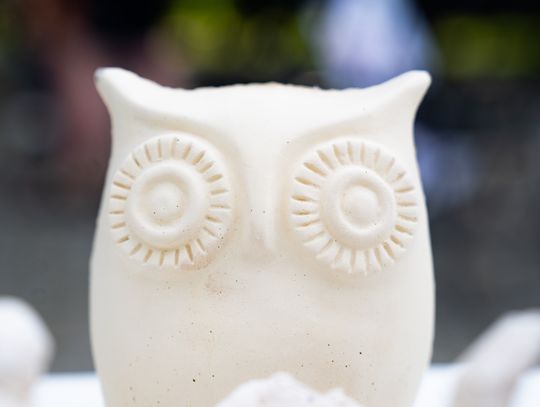 Free(RA)dom Festival - wystawa i aukcja charytatywna na rzecz bezdomnych zwierząt (zdjęcia)