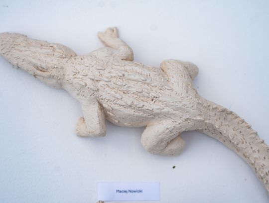 Free(RA)dom Festival - wystawa i aukcja charytatywna na rzecz bezdomnych zwierząt (zdjęcia)