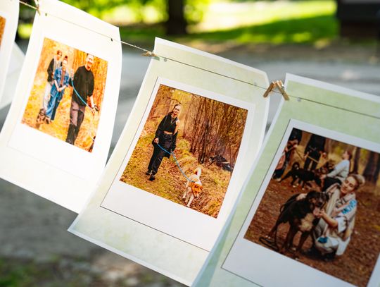 Free(RA)dom Festival - wystawa i aukcja charytatywna na rzecz bezdomnych zwierząt (zdjęcia)