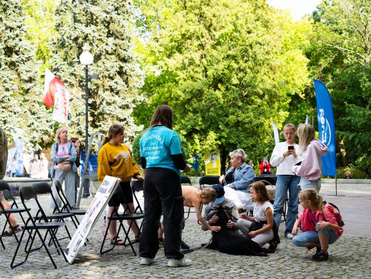 Free(RA)dom Festival - wystawa i aukcja charytatywna na rzecz bezdomnych zwierząt (zdjęcia)