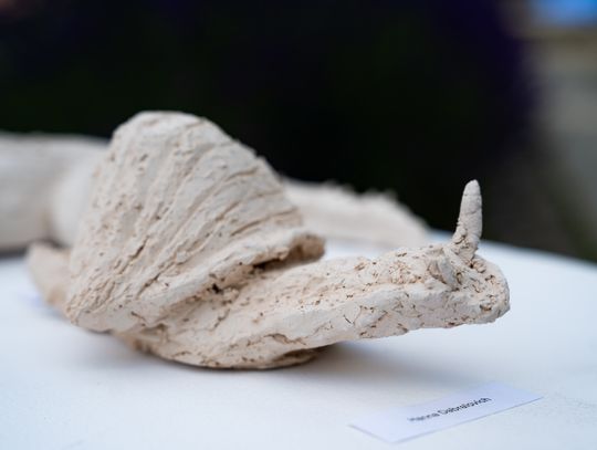 Free(RA)dom Festival - wystawa i aukcja charytatywna na rzecz bezdomnych zwierząt (zdjęcia)