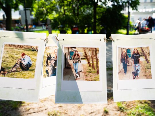 Free(RA)dom Festival - wystawa i aukcja charytatywna na rzecz bezdomnych zwierząt (zdjęcia)