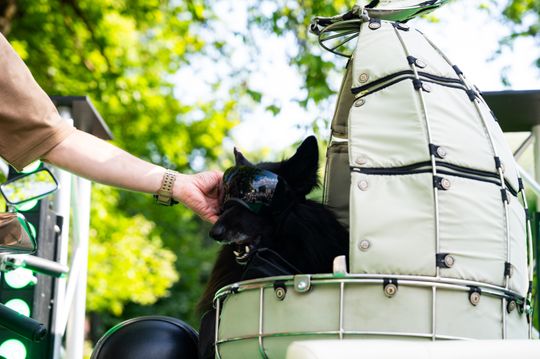 Free(RA)dom Festival - spotkanie z podróżnikiem Jackiem Borowskim  "JACK & DOG" (zdjęcia)