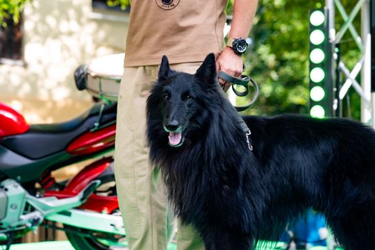 Free(RA)dom Festival - spotkanie z podróżnikiem Jackiem Borowskim  "JACK & DOG" (zdjęcia)