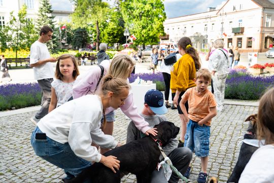 Free(RA)dom Festival - wystawa i aukcja charytatywna na rzecz bezdomnych zwierząt (zdjęcia)