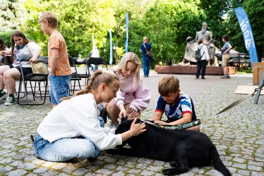 Free(RA)dom Festival - wystawa i aukcja charytatywna na rzecz bezdomnych zwierząt (zdjęcia)