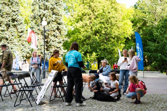 Free(RA)dom Festival - wystawa i aukcja charytatywna na rzecz bezdomnych zwierząt (zdjęcia)