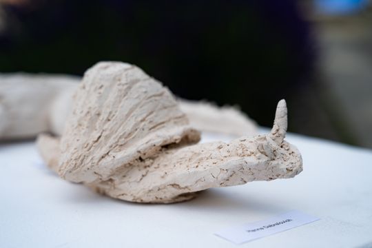 Free(RA)dom Festival - wystawa i aukcja charytatywna na rzecz bezdomnych zwierząt (zdjęcia)