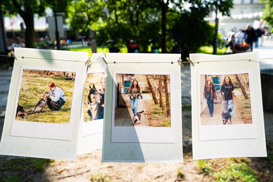 Free(RA)dom Festival - wystawa i aukcja charytatywna na rzecz bezdomnych zwierząt (zdjęcia)