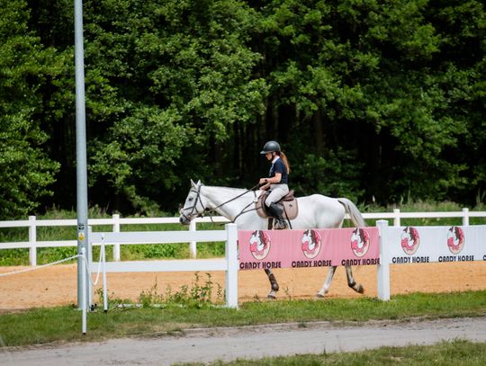 Zawody regionalne i towarzyskie w skokach przez przeszkody (zdjęcia)