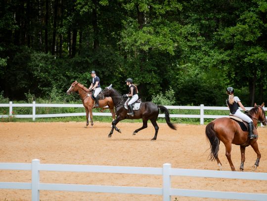 Zawody regionalne i towarzyskie w skokach przez przeszkody (zdjęcia)
