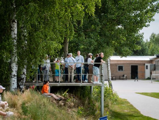 Zawody regionalne i towarzyskie w skokach przez przeszkody (zdjęcia)
