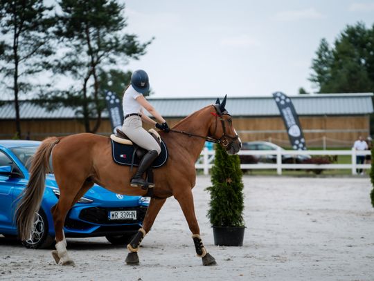 Zawody regionalne i towarzyskie w skokach przez przeszkody (zdjęcia)