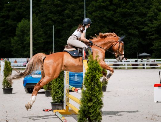 Zawody regionalne i towarzyskie w skokach przez przeszkody (zdjęcia)