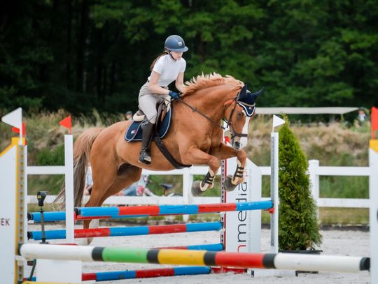 Zawody regionalne i towarzyskie w skokach przez przeszkody (zdjęcia)