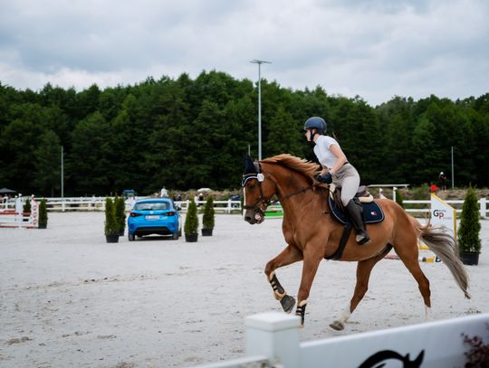 Zawody regionalne i towarzyskie w skokach przez przeszkody (zdjęcia)