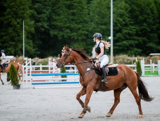 Zawody regionalne i towarzyskie w skokach przez przeszkody (zdjęcia)