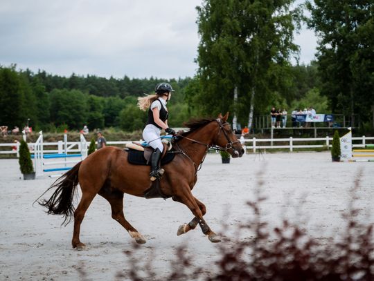 Zawody regionalne i towarzyskie w skokach przez przeszkody (zdjęcia)