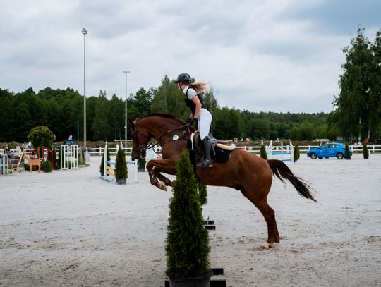 Zawody regionalne i towarzyskie w skokach przez przeszkody (zdjęcia)