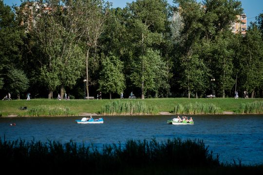 Inauguracja Tańca pod Gwiazdami na Borkach (zdjęcia)