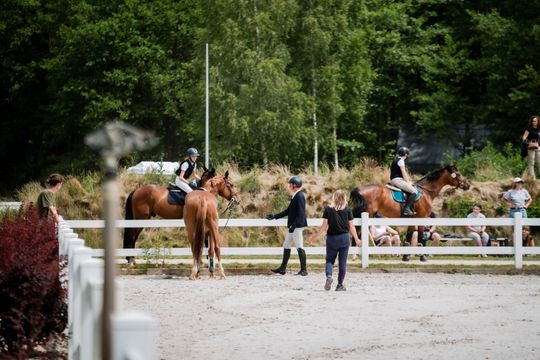 Zawody regionalne i towarzyskie w skokach przez przeszkody (zdjęcia)