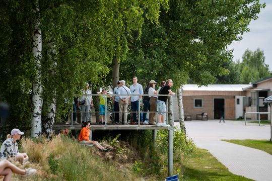 Zawody regionalne i towarzyskie w skokach przez przeszkody (zdjęcia)