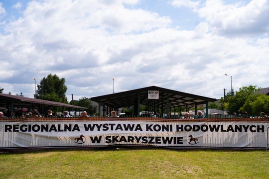 DSC09813.JPG DSC09813.JPG